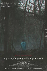 Видеозапись исчезновения ребёнка